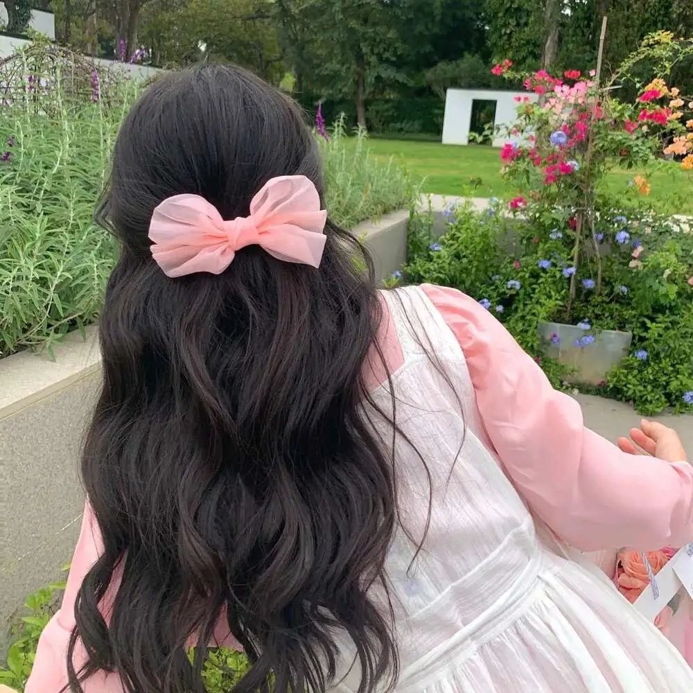 Go!Go!小小车向前冲:科丽茜出发啰